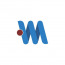 American Webs Master logo